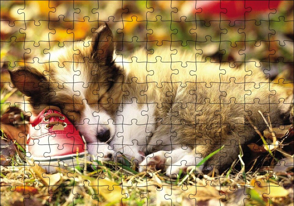 Uyuyan Yavru Köpek Puzzle Yapboz MDF Ahşap