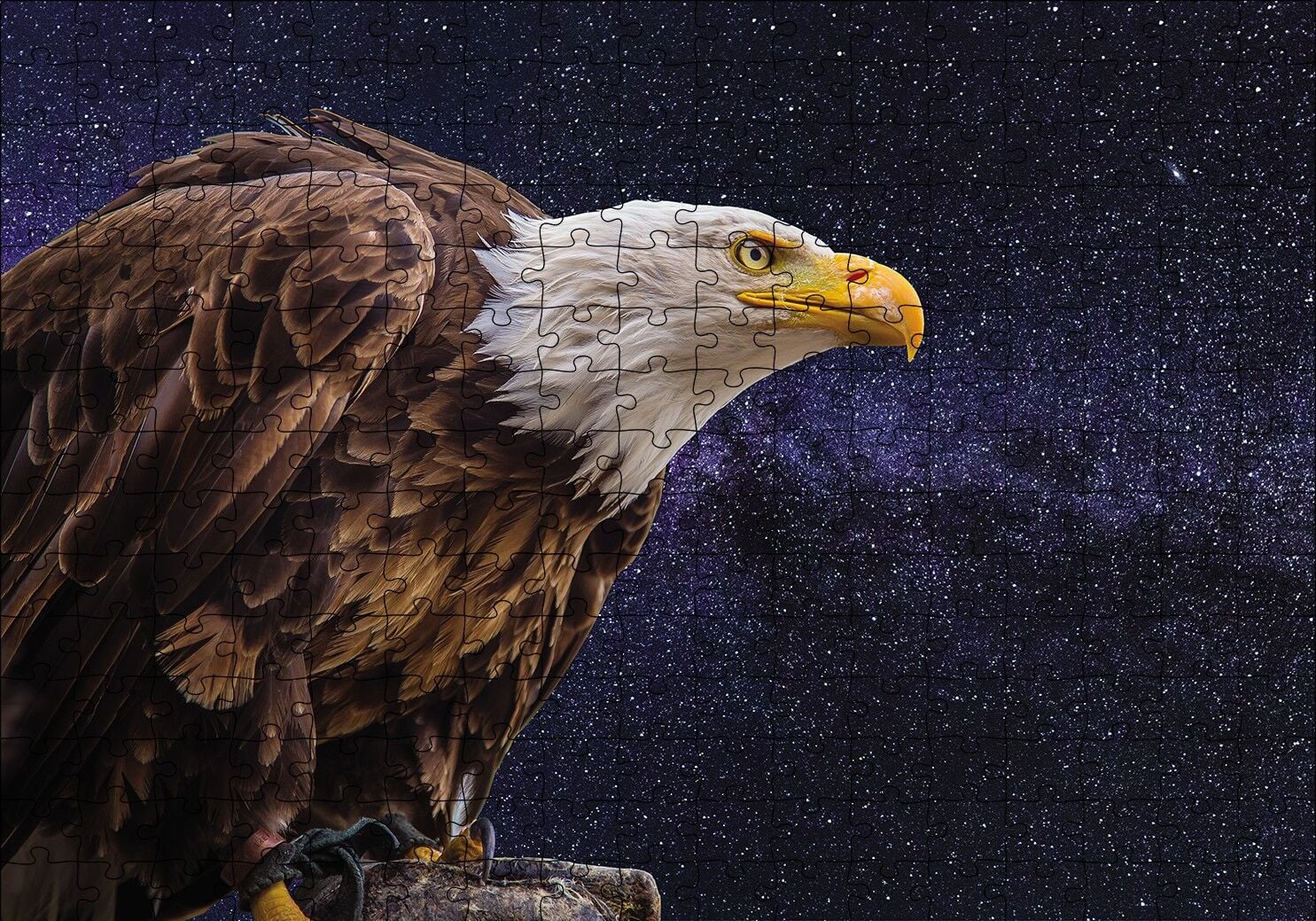Kel Kartal Puzzle Yapboz MDF Ahşap 255 Parça 34 cm X 49 cm