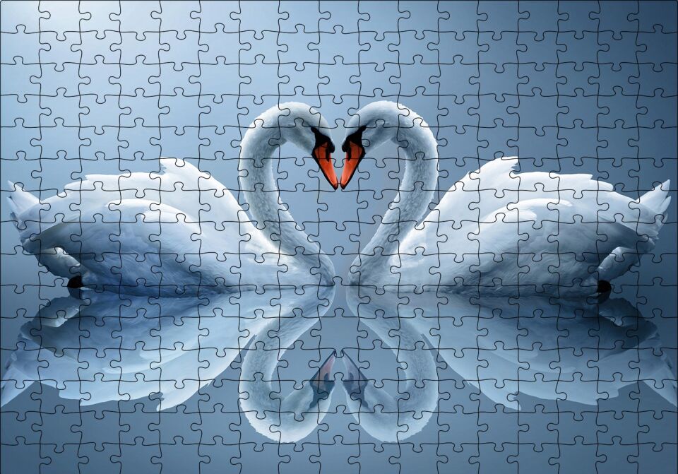 Gölde Kuğu Çifti Puzzle Yapboz MDF Ahşap 255 Parça 34 cm X 49 cm