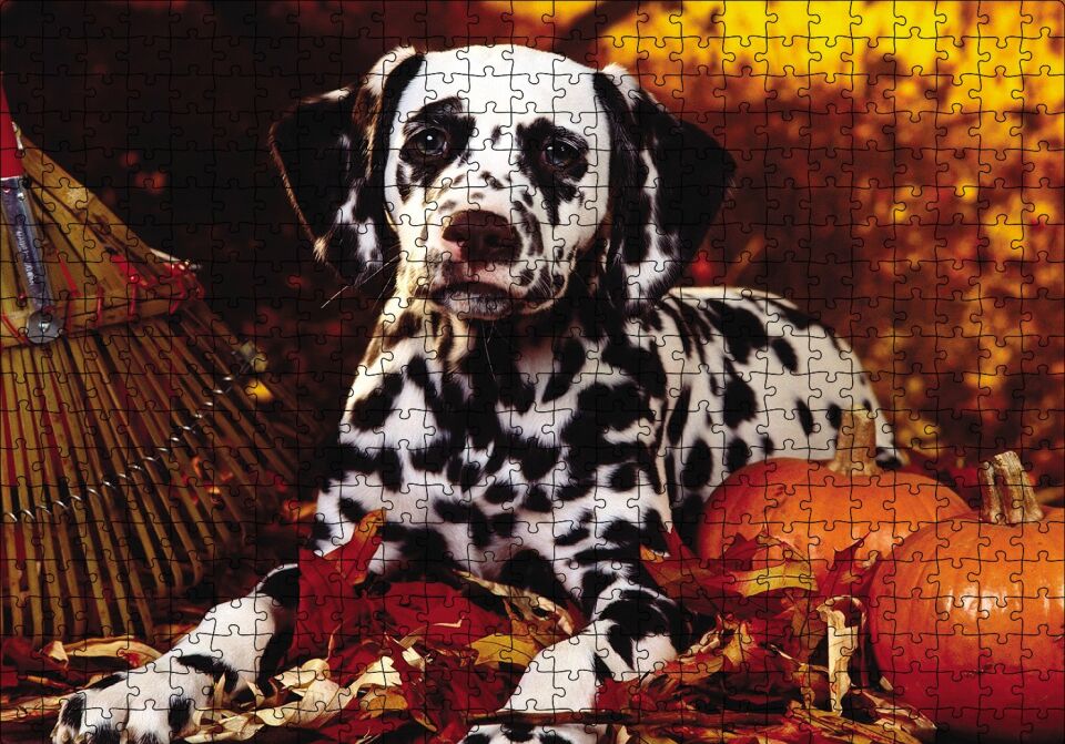 Köpek Cadılar Bayramı Puzzle Yapboz MDF Ahşap 500 Parça 49 cm X 68 cm