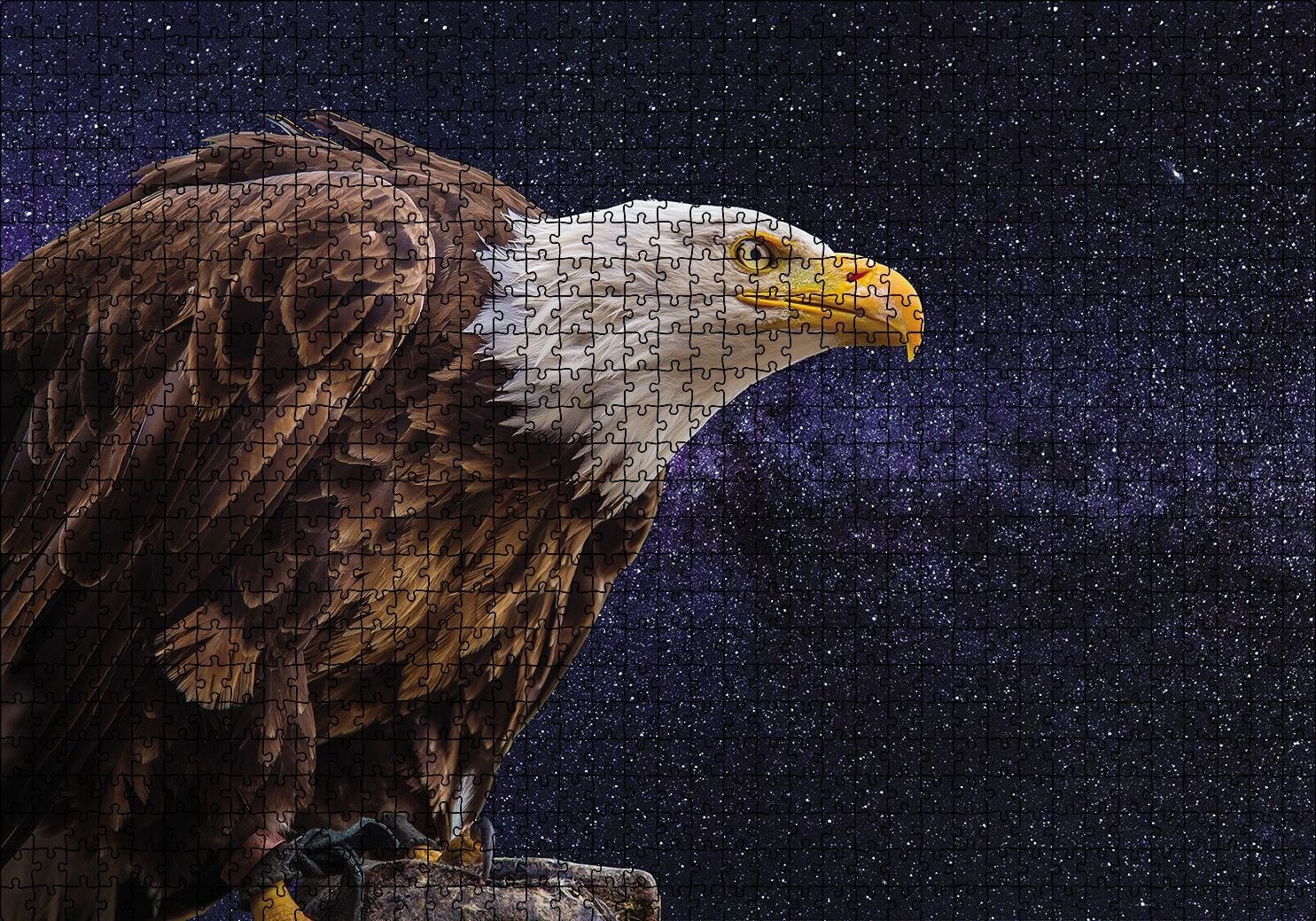 Kel Kartal Puzzle Yapboz MDF Ahşap 1000 Parça 49 cm X 68 cm