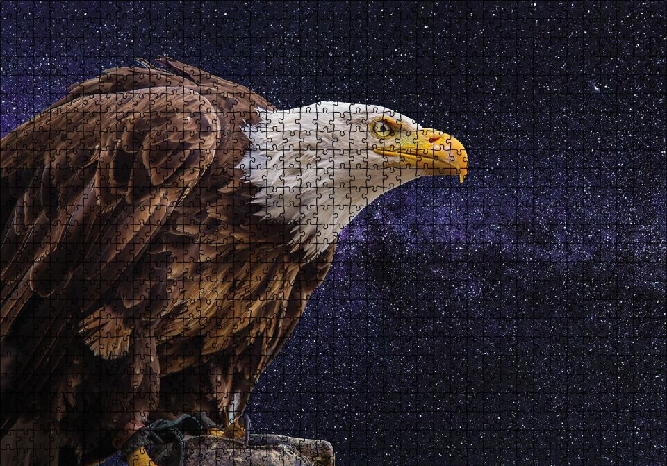 Kel Kartal Puzzle Yapboz MDF Ahşap 1000 Parça 49 cm X 68 cm
