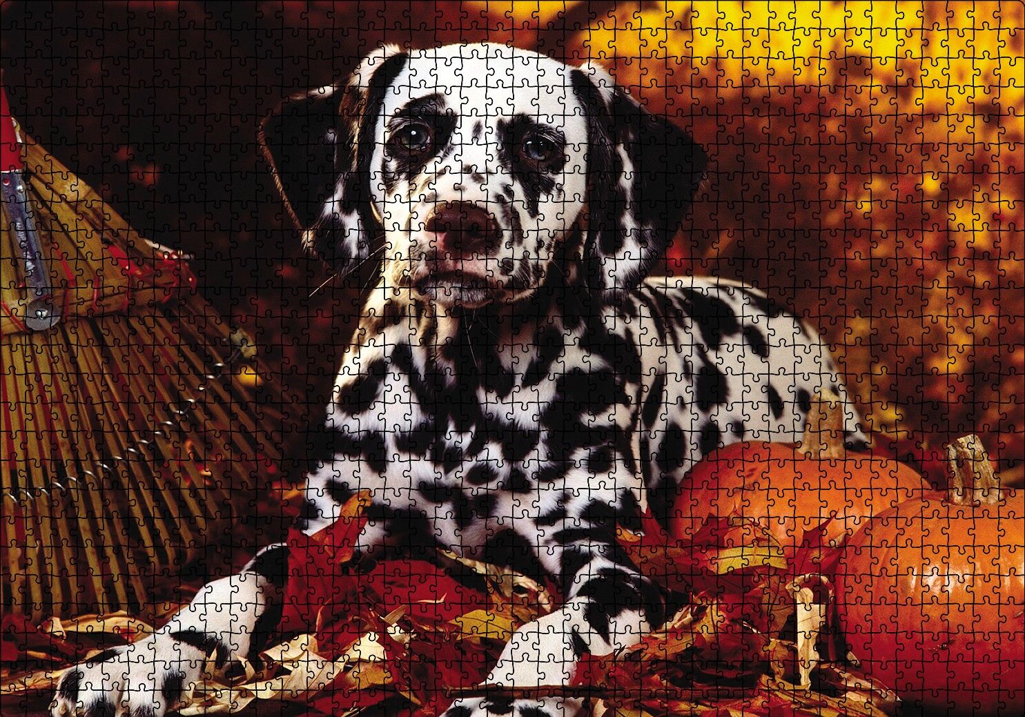 Köpek Cadılar Bayramı Puzzle Yapboz MDF Ahşap 1000 Parça 49 cm X 68 cm