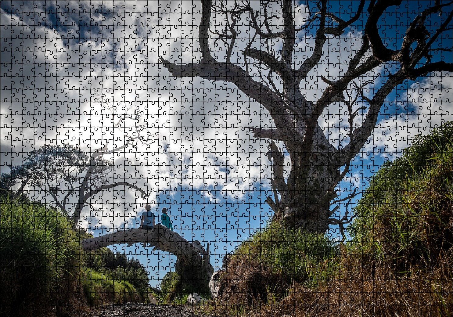 Bulutlar Kuru Ağaç ve Dalındaki Çift Puzzle Yapboz MDF Ahşap 1000 Parça 49 cm X 68 cm