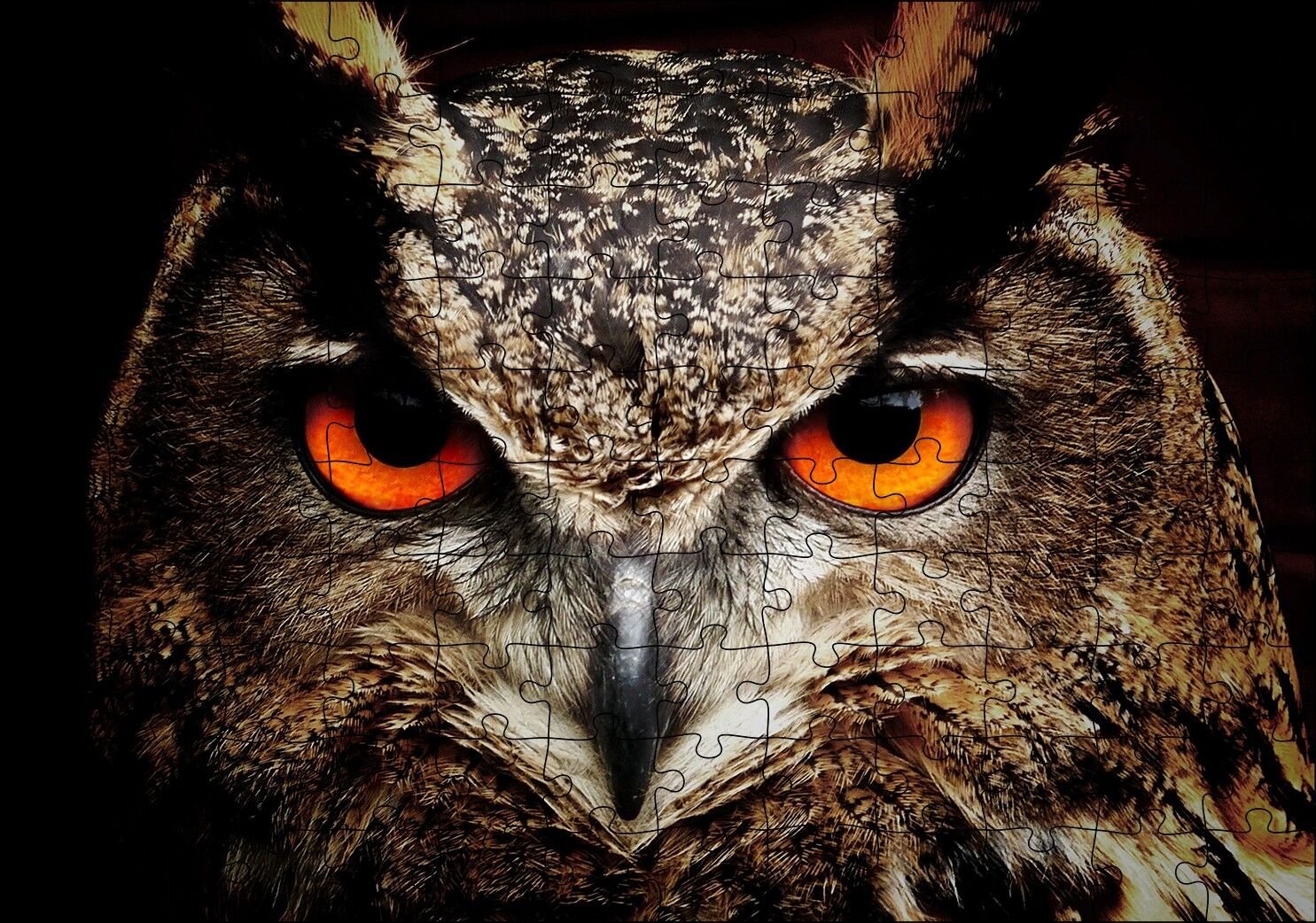 Kırmızı Gözlü Baykuş Yakın Çekim Puzzle Yapboz MDF Ahşap