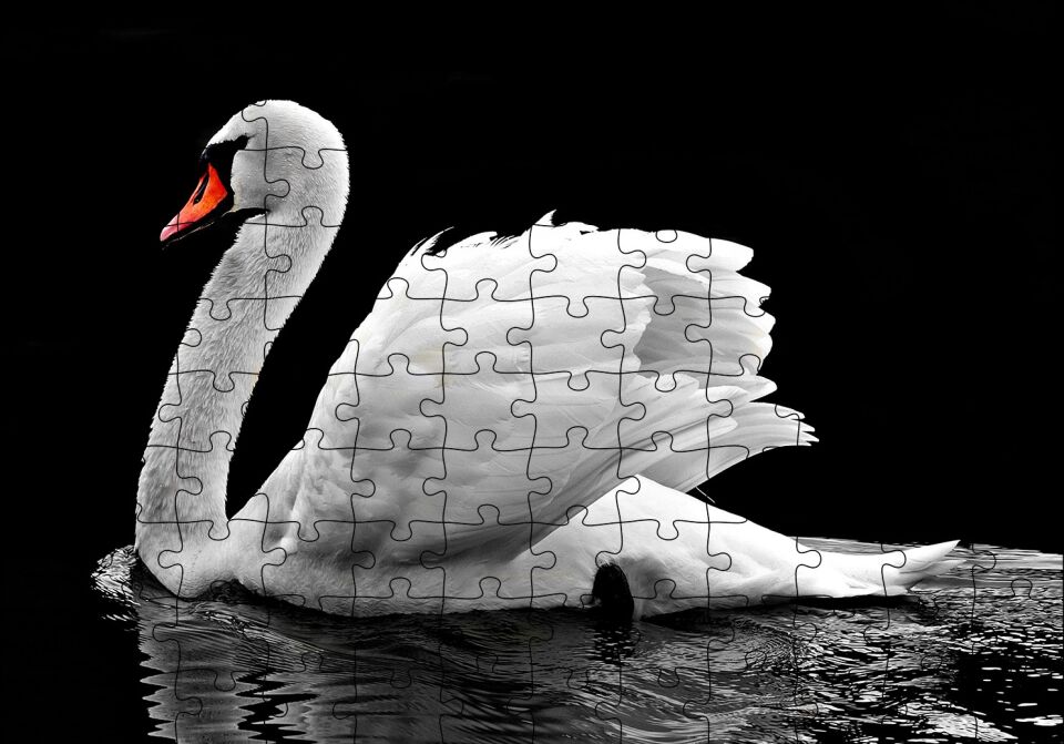 Göldeki Beyaz Kuğu Monochrome Puzzle Yapboz MDF Ahşap 120 Parça 24 cm X 34 cm