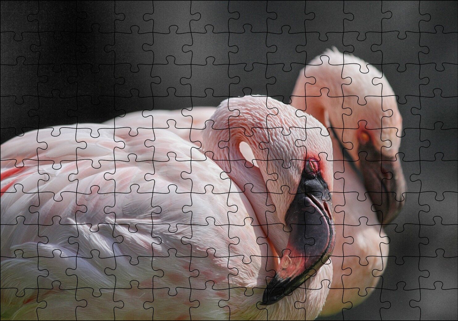 Uyuklayan Bir Çift Flamingo Puzzle Yapboz MDF Ahşap