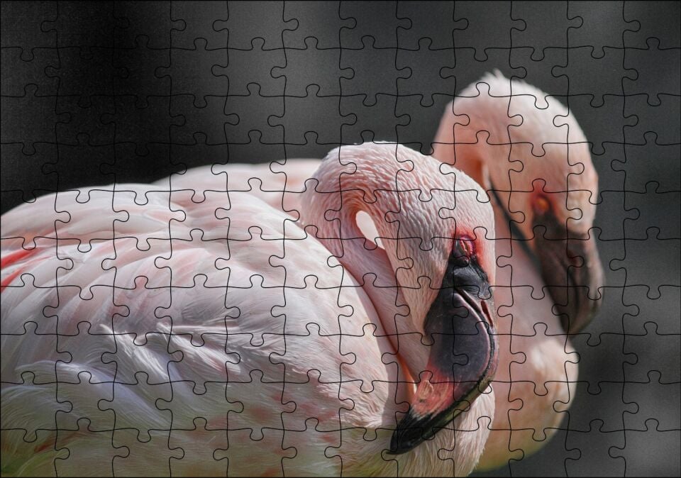 Uyuklayan Bir Çift Flamingo Puzzle Yapboz MDF Ahşap