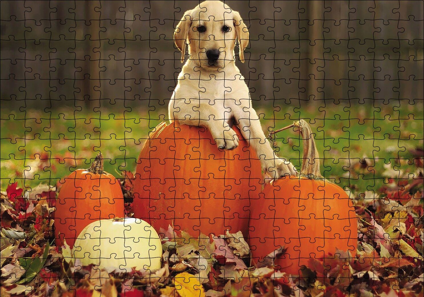 Köpek Kabaklar Puzzle Yapboz MDF Ahşap 255 Parça 34 cm X 49 cm