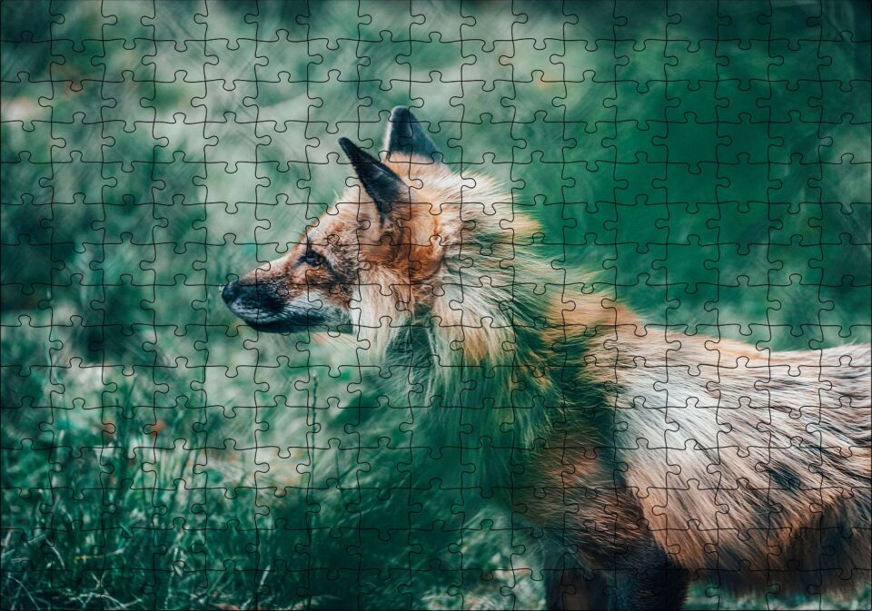 Ormanda Yeşillikler Arasındaki Tilki Puzzle Yapboz MDF Ahşap 255 Parça 34 cm X 49 cm