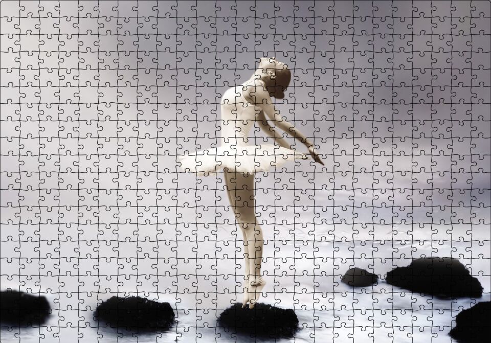Balerin Kız Fantastik Puzzle Yapboz MDF Ahşap 500 Parça 49 cm X 68 cm