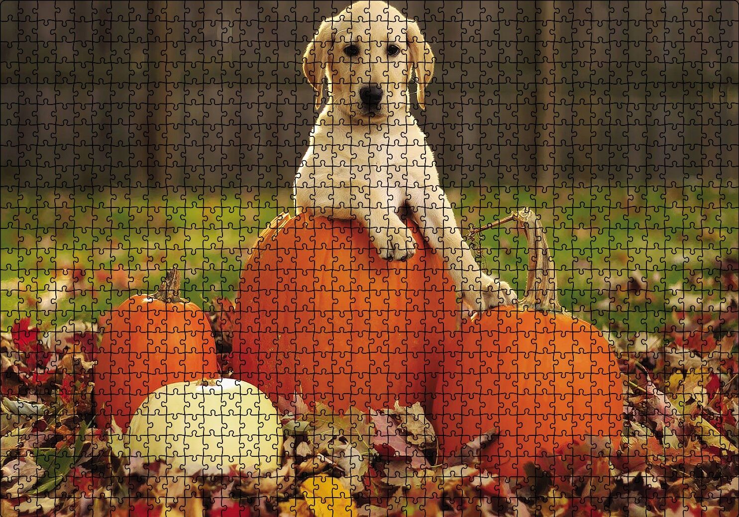 Köpek Kabaklar Puzzle Yapboz MDF Ahşap 1000 Parça 49 cm X 68 cm