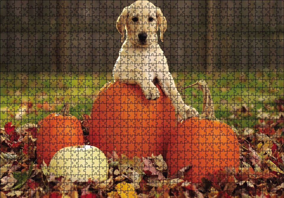Köpek Kabaklar Puzzle Yapboz MDF Ahşap 1000 Parça 49 cm X 68 cm
