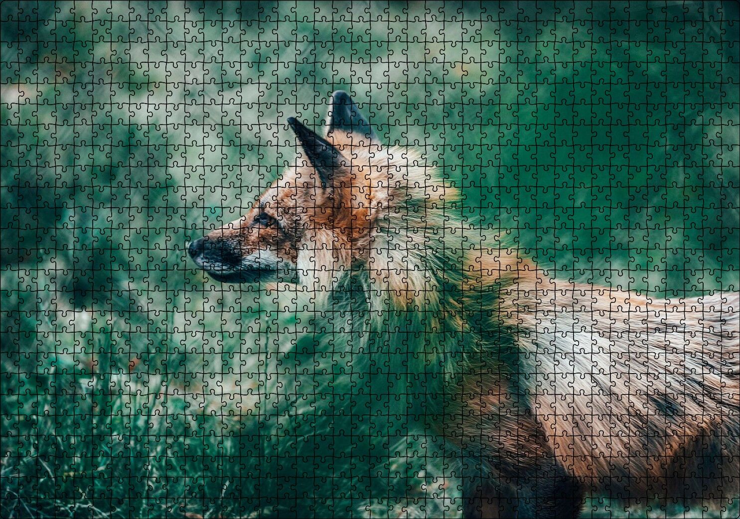 Ormanda Yeşillikler Arasındaki Tilki Puzzle Yapboz MDF Ahşap 1000 Parça 49 cm X 68 cm
