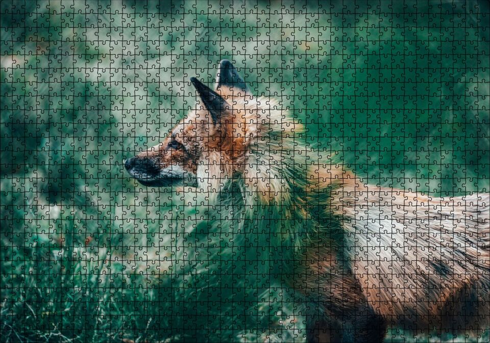 Ormanda Yeşillikler Arasındaki Tilki Puzzle Yapboz MDF Ahşap 1000 Parça 49 cm X 68 cm