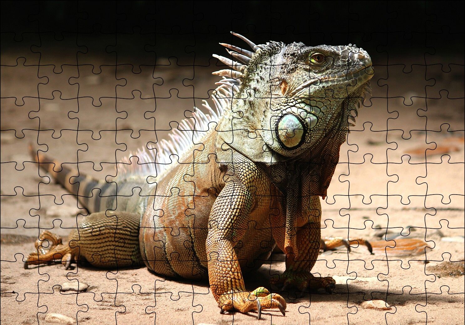 Kumlar Üzerinde Görkemli İguana Puzzle Yapboz MDF Ahşap