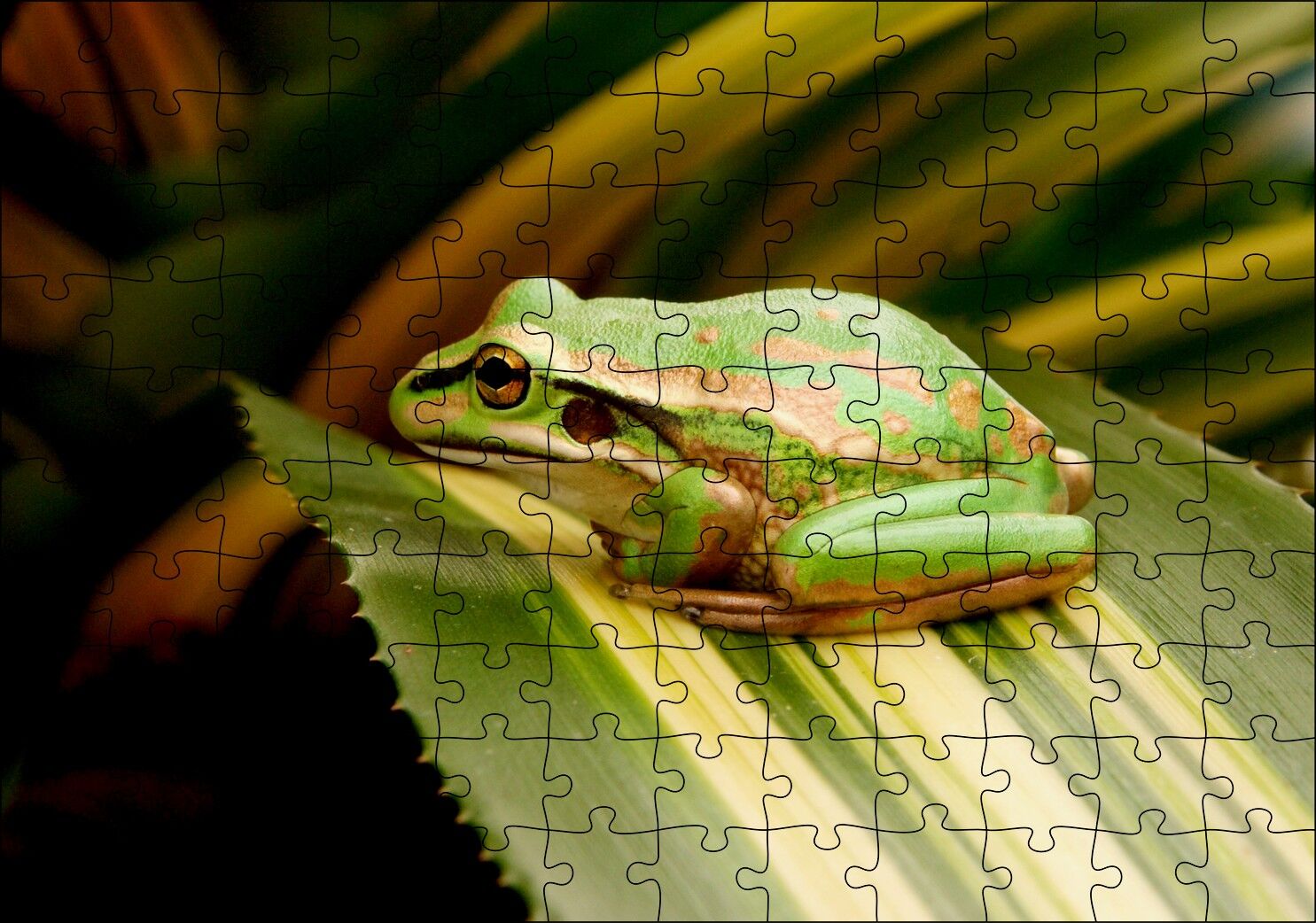 Yaprak Üzerinde Dinlenen Yeşil Kurbağa Puzzle Yapboz MDF Ahşap