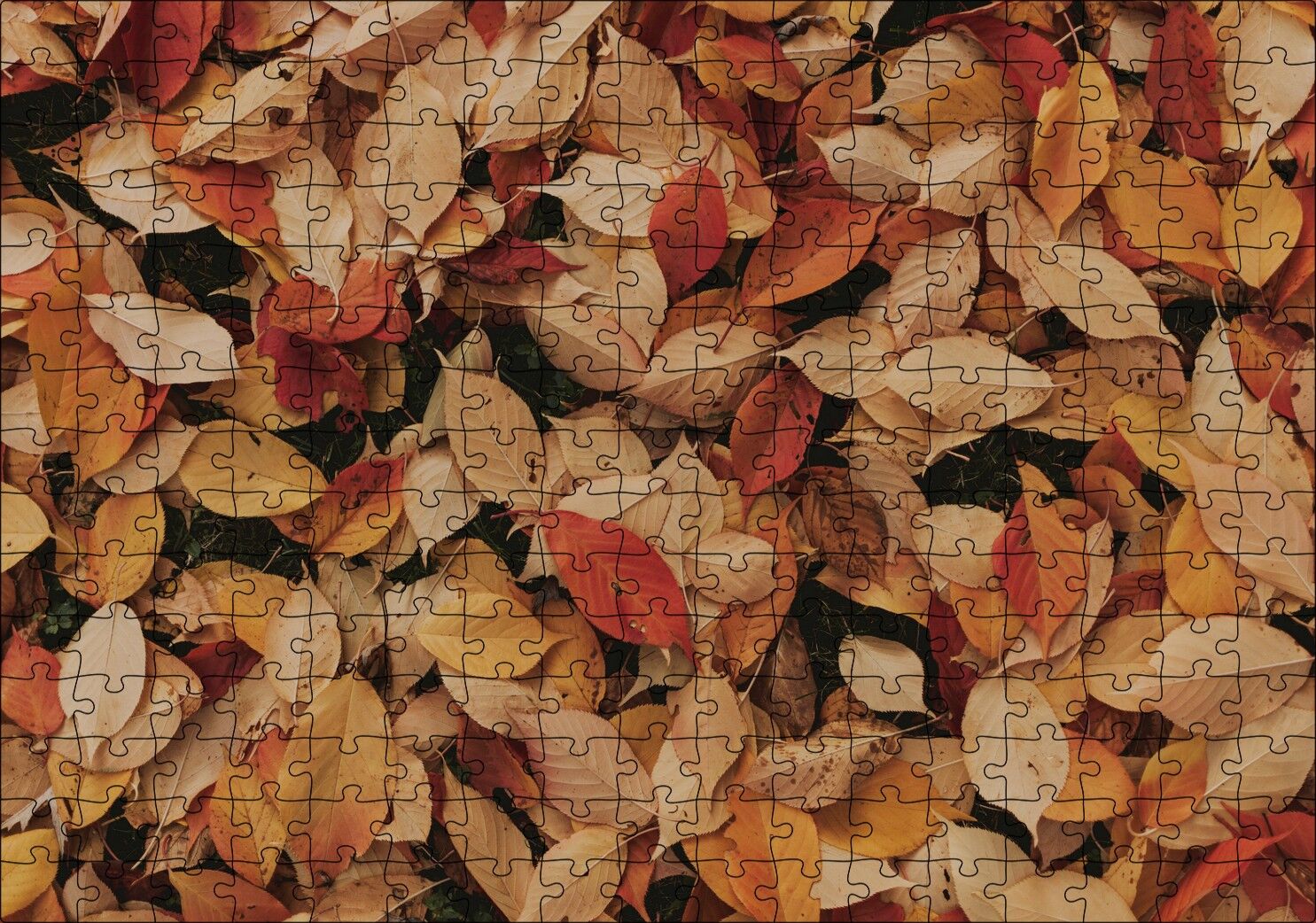 Üstüste Sonbahar Yaprakları Puzzle Yapboz MDF Ahşap 255 Parça 34 cm X 49 cm