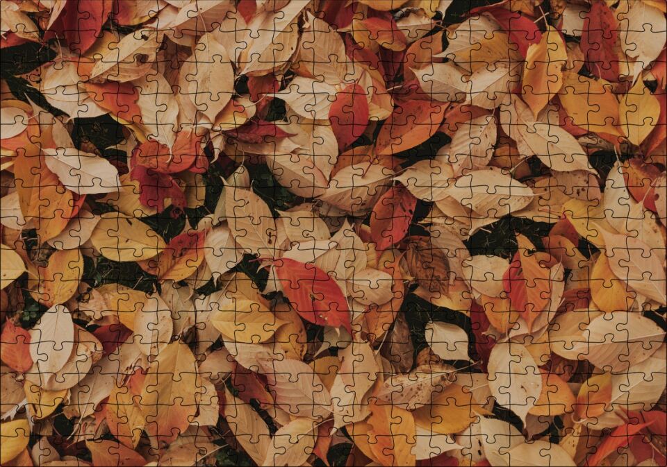 Üstüste Sonbahar Yaprakları Puzzle Yapboz MDF Ahşap 255 Parça 34 cm X 49 cm