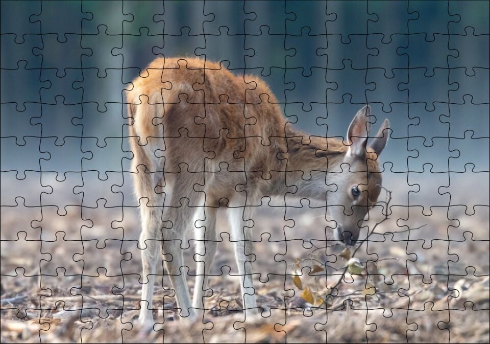 Yavru Geyik ve Yerde Kuru Yapraklar Puzzle Yapboz MDF Ahşap