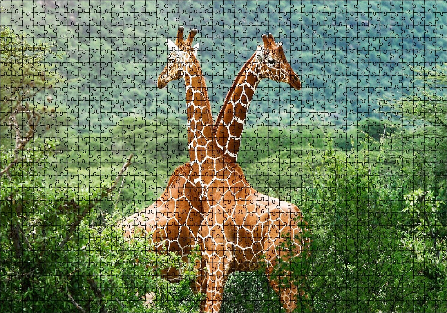 Ormanda Zürafa Çifti Puzzle Yapboz MDF Ahşap 1000 Parça 49 cm X 68 cm