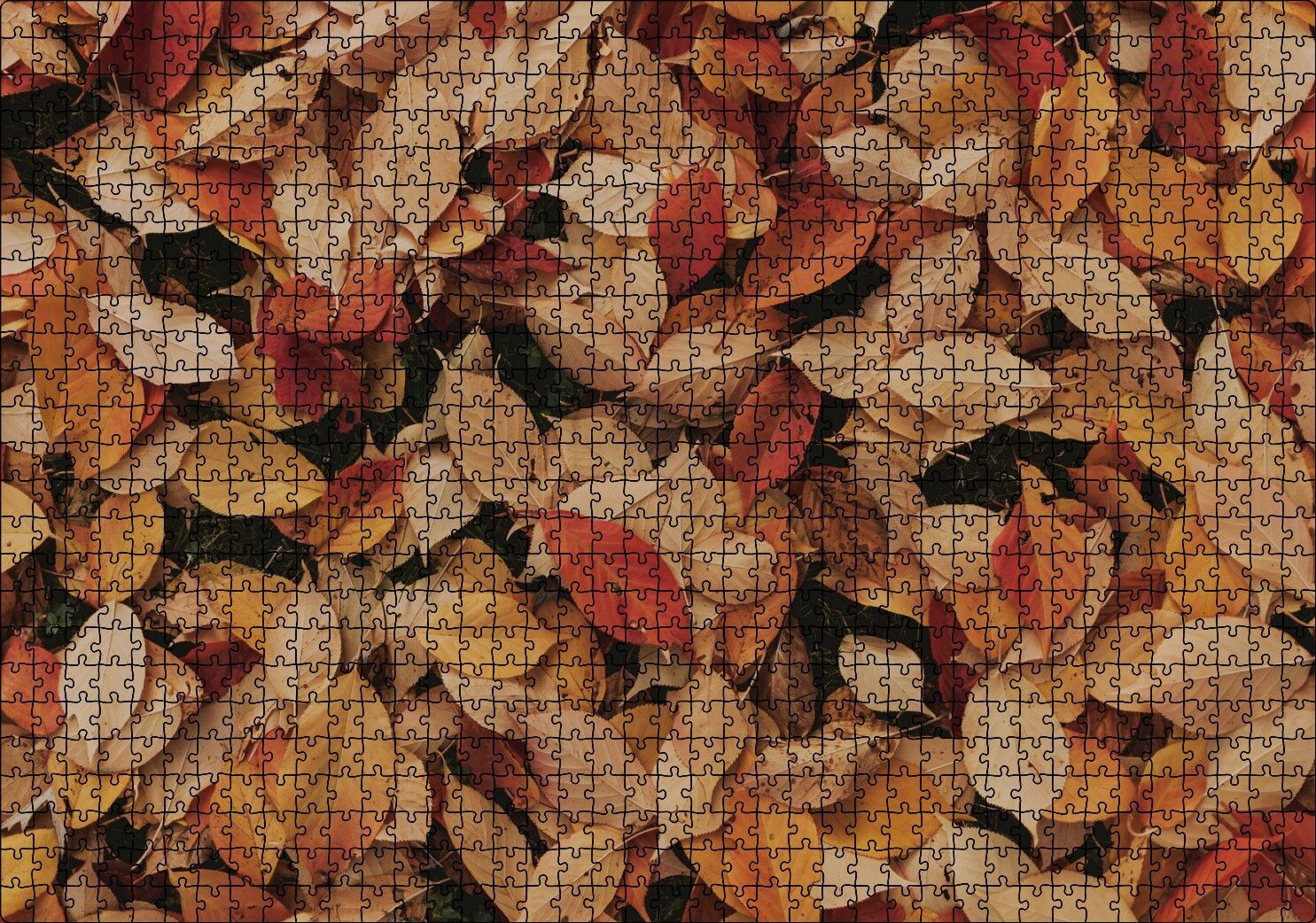 Üstüste Sonbahar Yaprakları Puzzle Yapboz MDF Ahşap 1000 Parça 49 cm X 68 cm