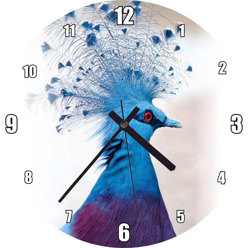 Viktorya Taçlı Güvercin Yakın Çekim Mdf Ahşap Duvar Saati