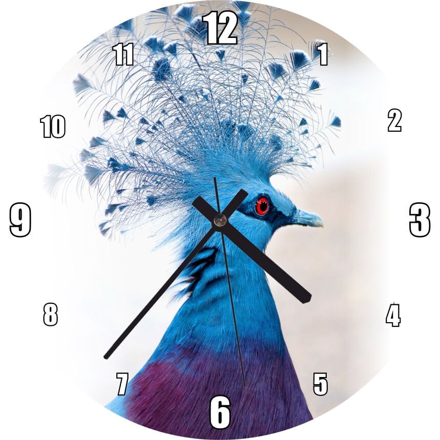 Viktorya Taçlı Güvercin Yakın Çekim Mdf Ahşap Duvar Saati