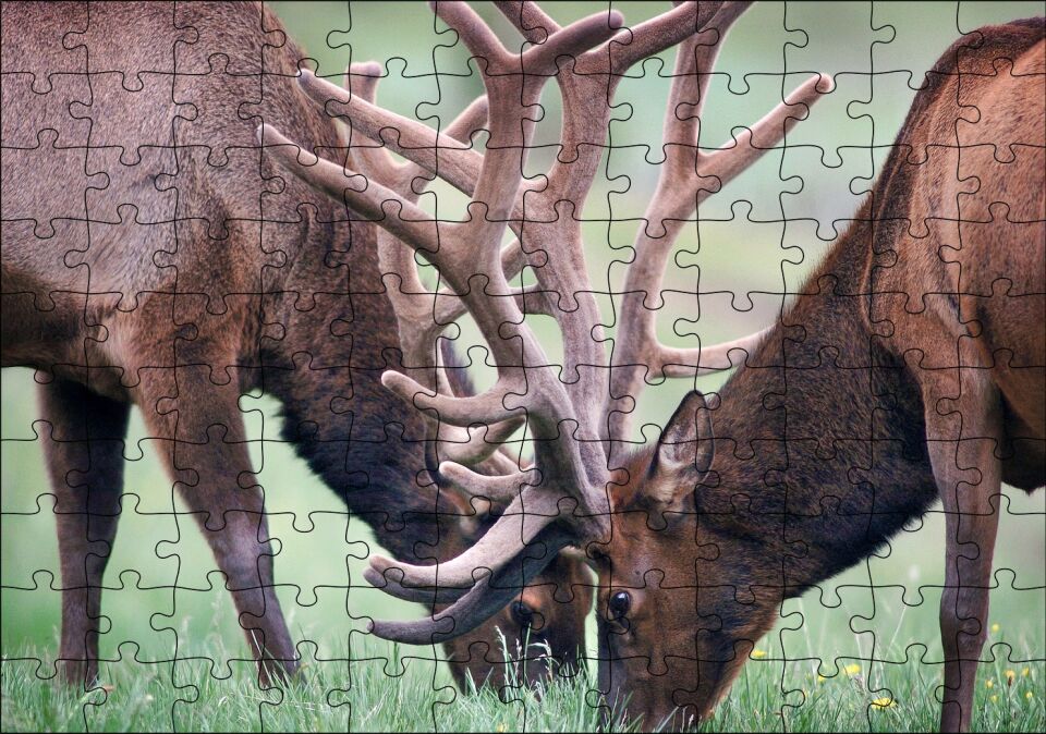 Yeşil Çayırda Otlayan Boynuzlu Geyikler Puzzle Yapboz MDF Ahşap