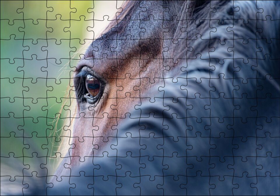Kahverengi At Gözü Arkadan Yakın Çekim Puzzle Yapboz MDF Ahşap 120 Parça 24 cm X 34 cm