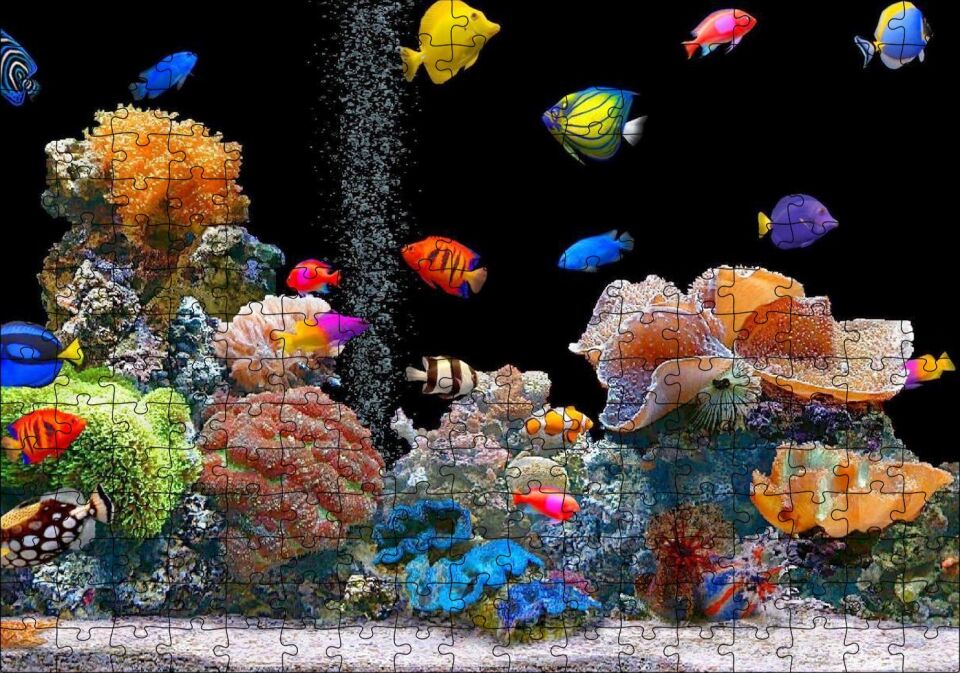 Rengarenk Deniz Akvaryumu Puzzle Yapboz MDF Ahşap 255 Parça 34 cm X 49 cm