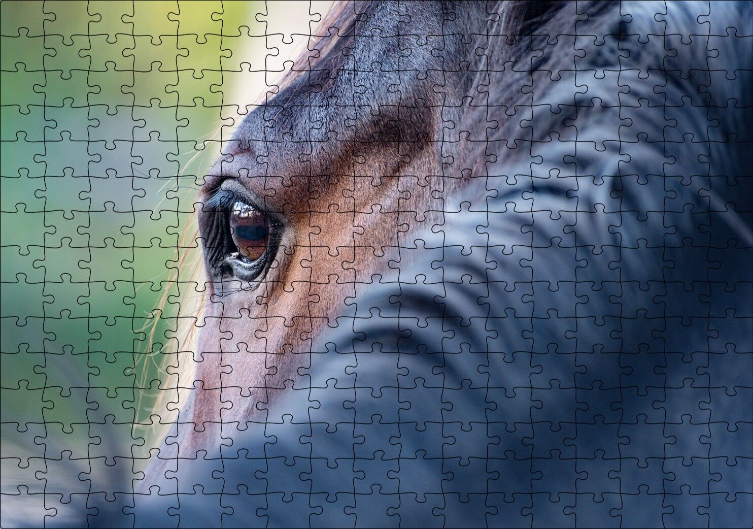 Kahverengi At Gözü Arkadan Yakın Çekim Puzzle Yapboz MDF Ahşap 255 Parça 34 cm X 49 cm