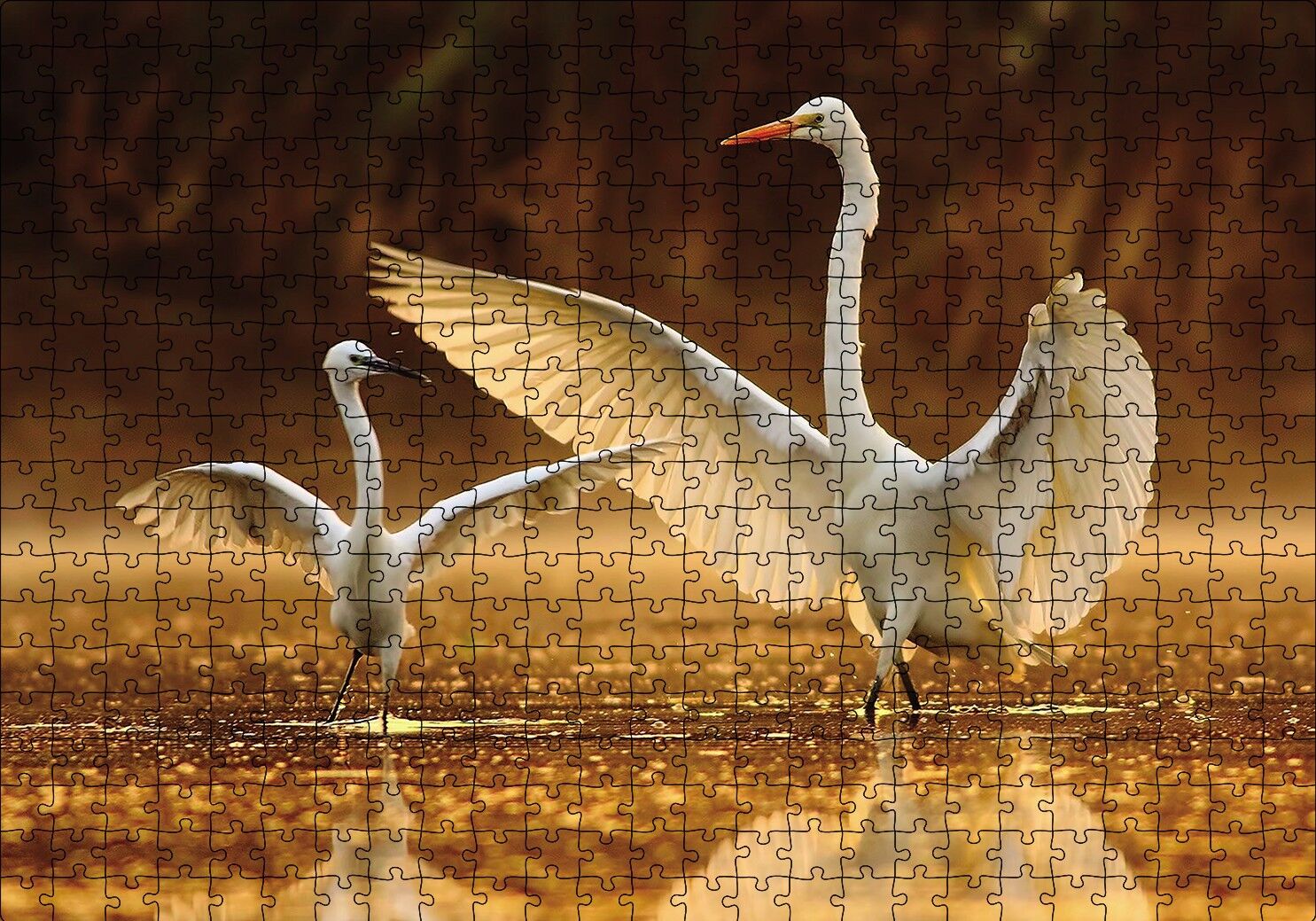 Balıkçıl Kuş ve Yavrusu Puzzle Yapboz MDF Ahşap 500 Parça 49 cm X 68 cm