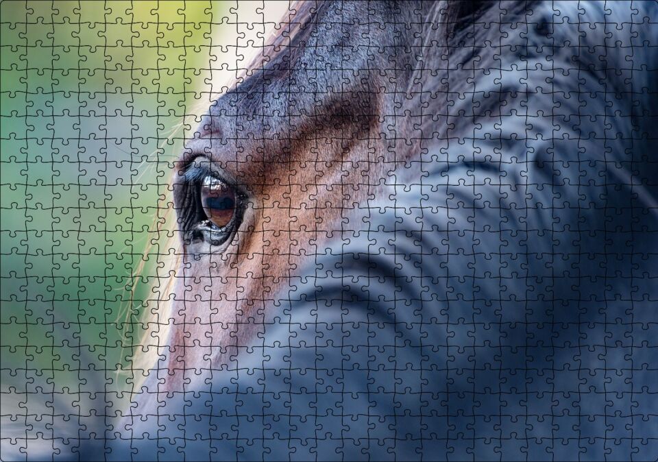 Kahverengi At Gözü Arkadan Yakın Çekim Puzzle Yapboz MDF Ahşap 500 Parça 49 cm X 68 cm