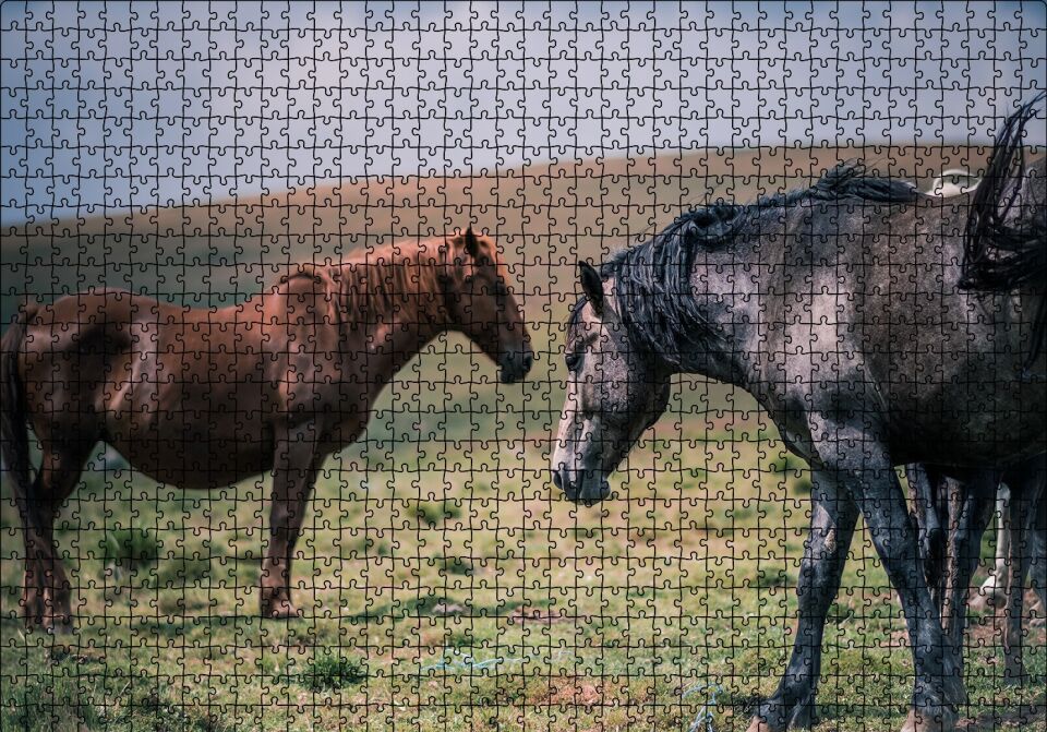 Çayırda Yılkı Atları Puzzle Yapboz MDF Ahşap 1000 Parça 49 cm X 68 cm