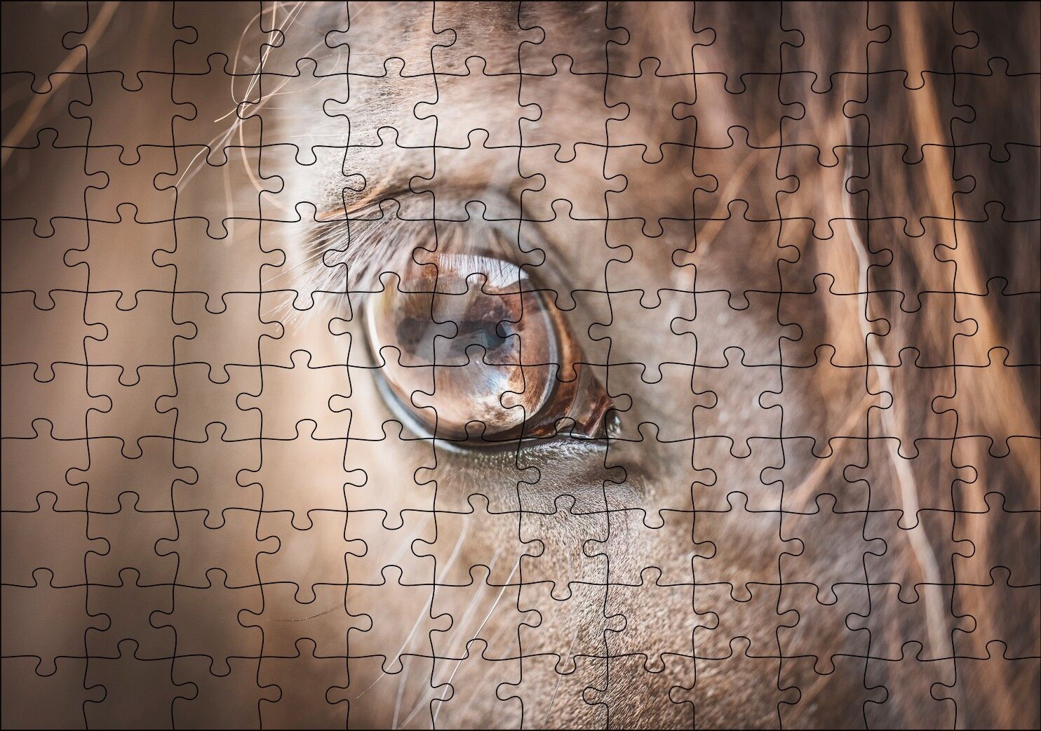 Kahverengi Atın Gözü Yakın Çekim Puzzle Yapboz MDF Ahşap 120 Parça 24 cm X 34 cm