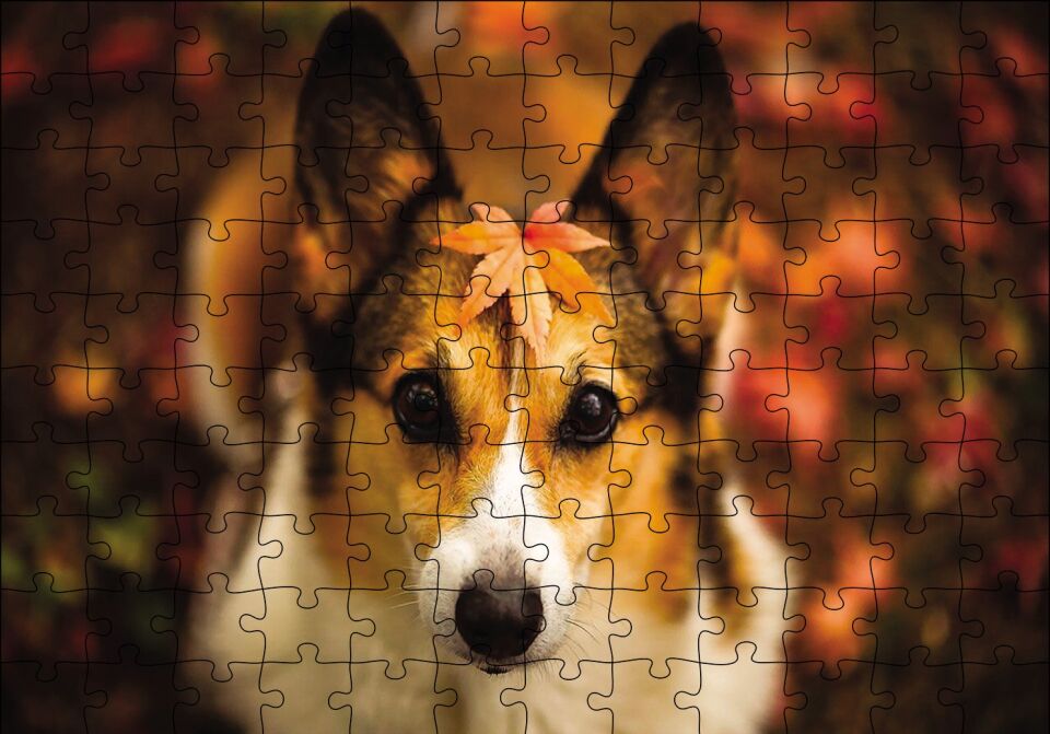 Ormanda Yapraklı Köpek Puzzle Yapboz MDF Ahşap