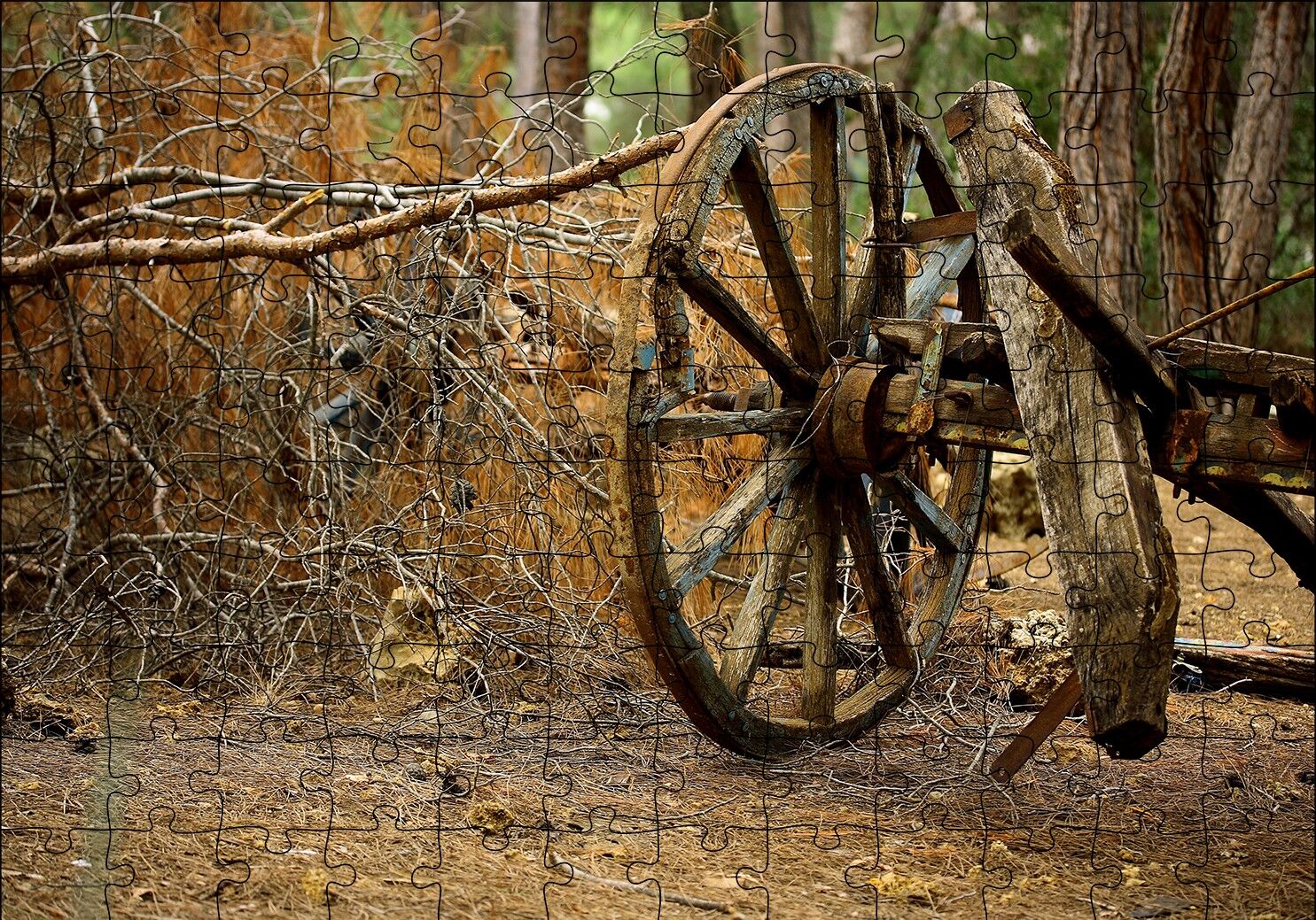 Ormanda Eski At Arabası Tekerleği Puzzle Yapboz MDF Ahşap