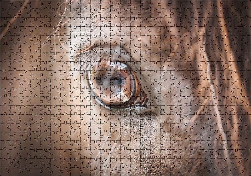 Kahverengi Atın Gözü Yakın Çekim Puzzle Yapboz MDF Ahşap 500 Parça 49 cm X 68 cm