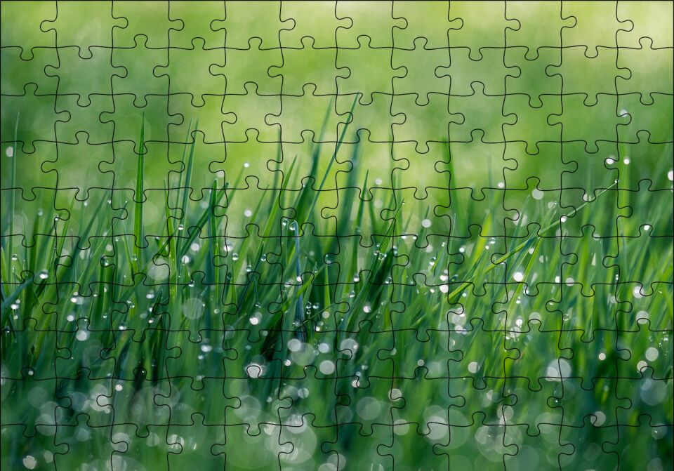 Çimenler ve Su Damlaları Puzzle Yapboz MDF Ahşap 120 Parça 24 cm X 34 cm