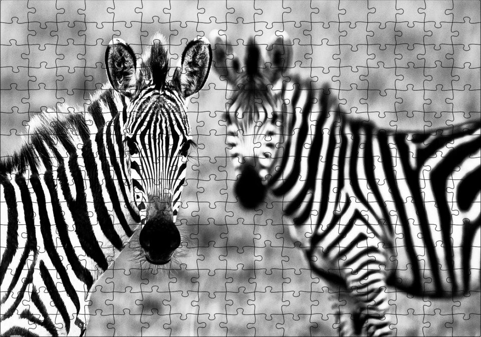 İki Sevimli Zebra Görseli Puzzle Yapboz MDF Ahşap 255 Parça 34 cm X 49 cm