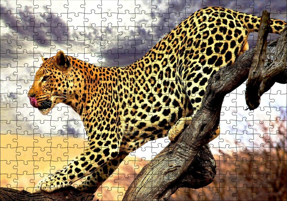 Yaban Hayat Leopar Hayvan Görseli Puzzle Yapboz MDF Ahşap 255 Parça 34 cm X 49 cm
