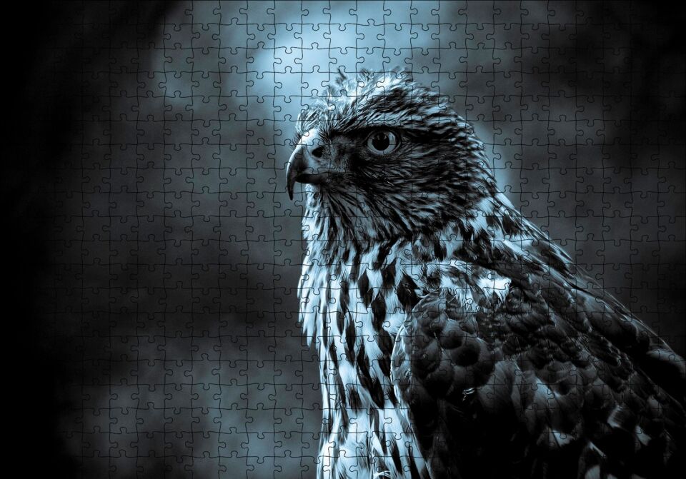 Atmaca Yakın Çekim Puzzle Yapboz MDF Ahşap 500 Parça 49 cm X 68 cm