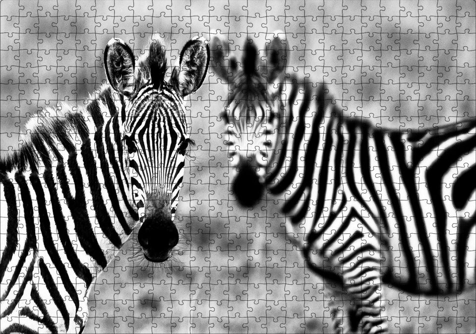 İki Sevimli Zebra Görseli Puzzle Yapboz MDF Ahşap 500 Parça 49 cm X 68 cm