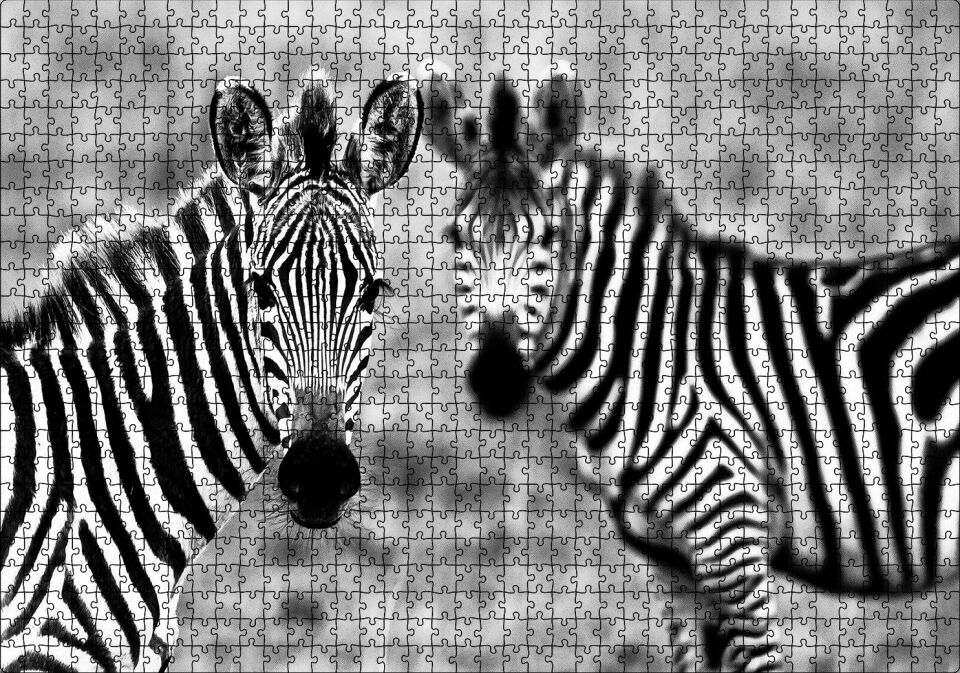 İki Sevimli Zebra Görseli Puzzle Yapboz MDF Ahşap 1000 Parça 49 cm X 68 cm