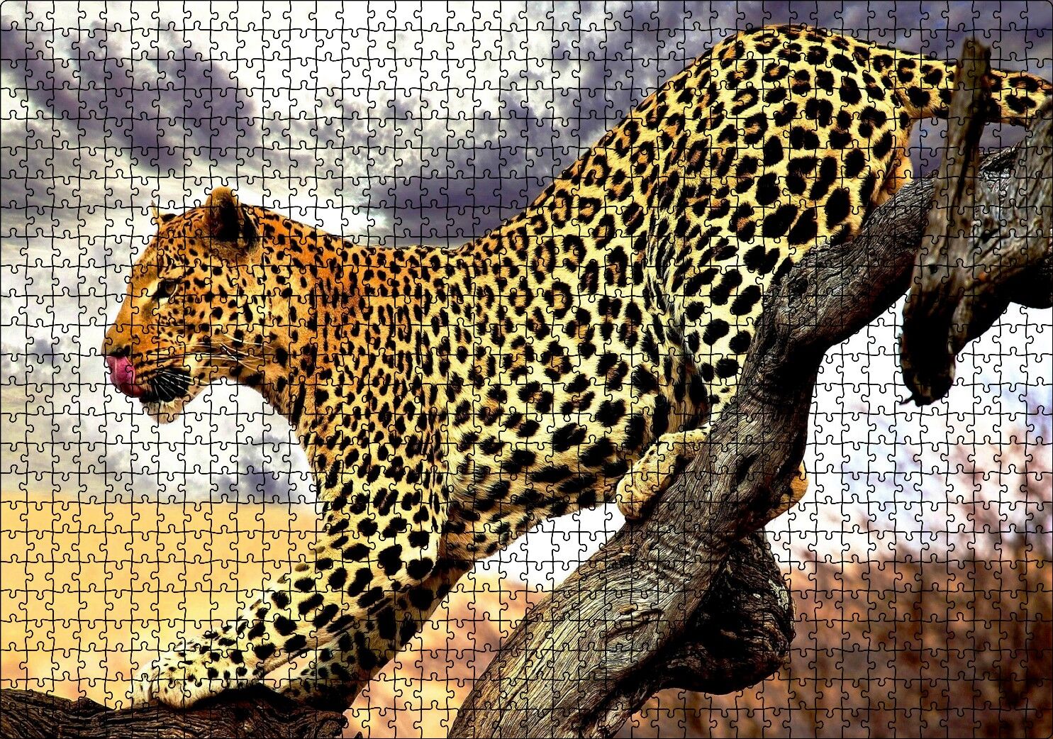 Yaban Hayat Leopar Hayvan Görseli Puzzle Yapboz MDF Ahşap 1000 Parça 49 cm X 68 cm