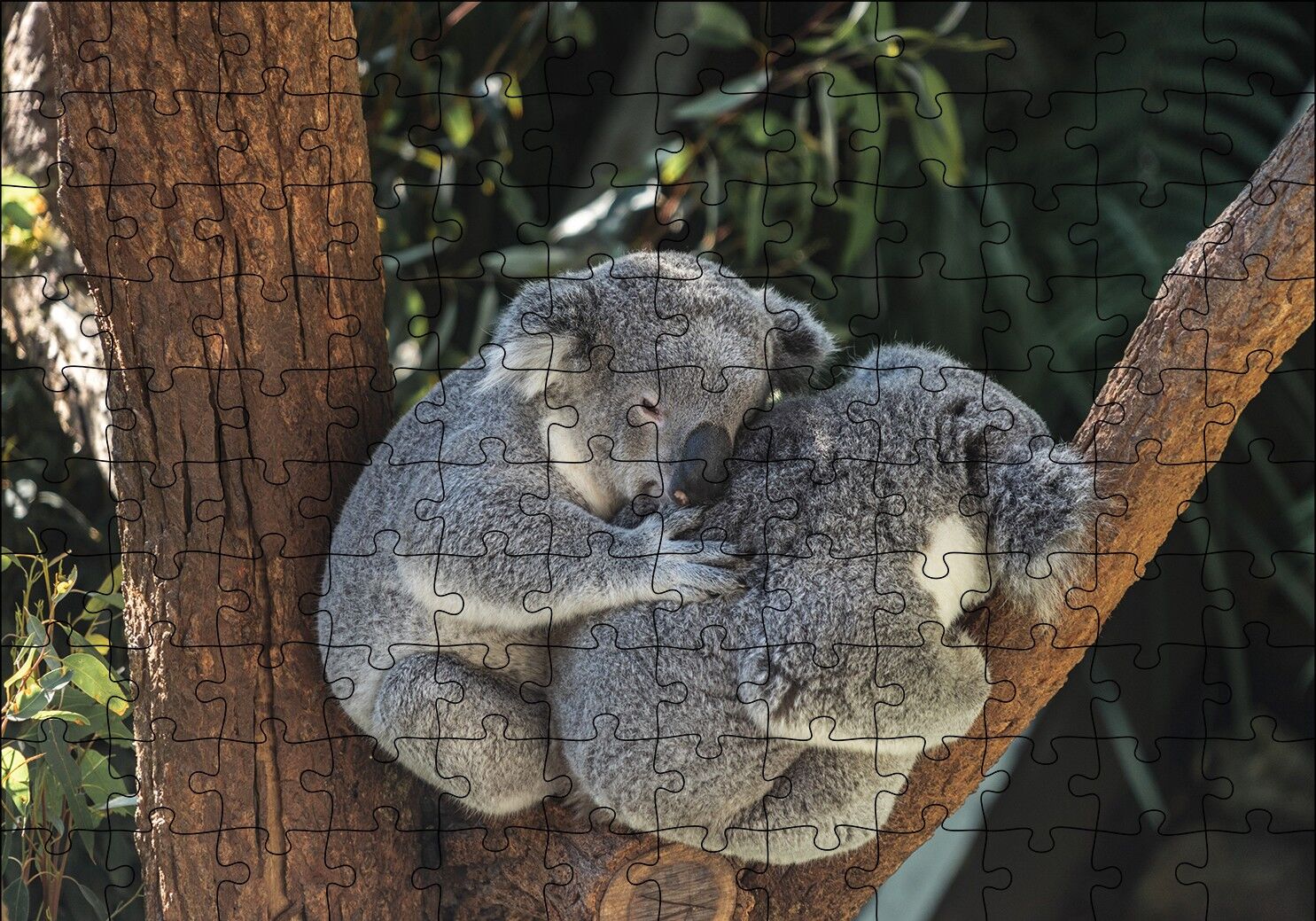 Dalda Koala Kardeşliği Puzzle Yapboz MDF Ahşap 120 Parça 24 cm X 34 cm