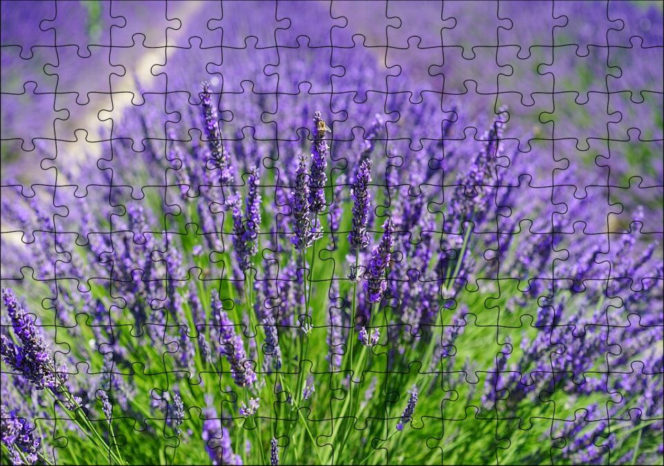 Lavanta Tarlasında Lavantalar Puzzle Yapboz MDF Ahşap