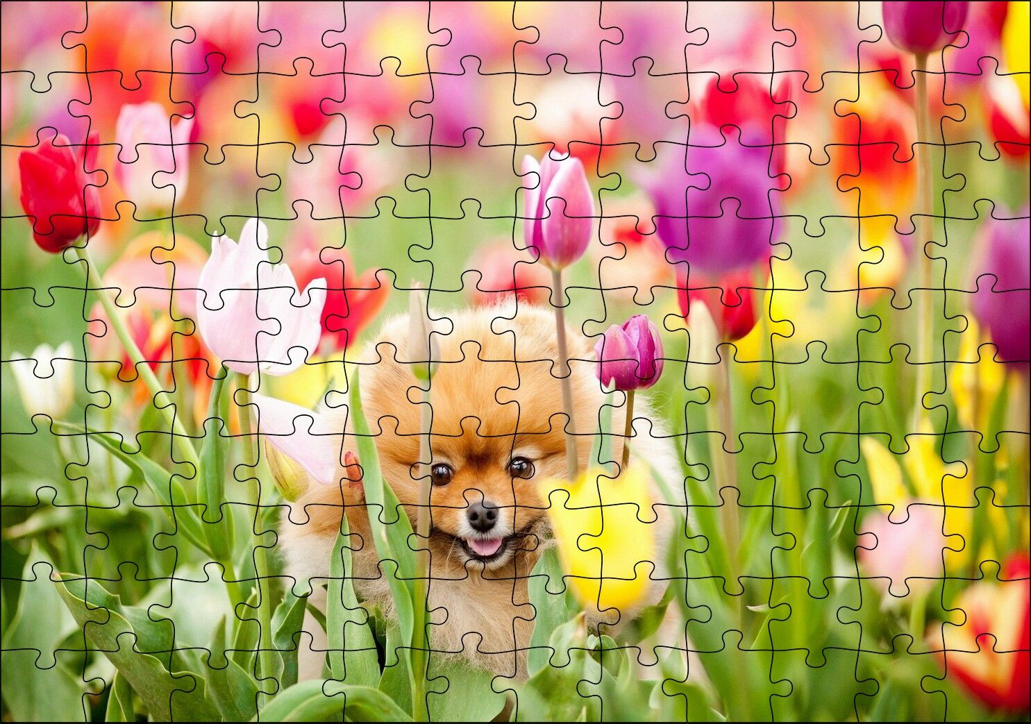 Rengarenk Laleler Arasındaki Sevimli Kahverengi Köpek Puzzle Yapboz MDF Ahşap 120 Parça 24 cm X 34 cm