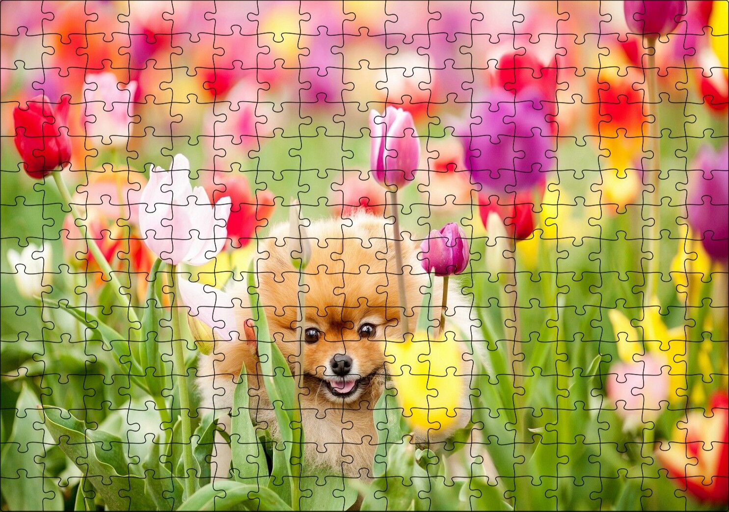 Rengarenk Laleler Arasındaki Sevimli Kahverengi Köpek Puzzle Yapboz MDF Ahşap 255 Parça 34 cm X 49 cm